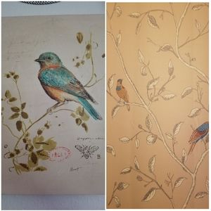 🦜 Bird 🦚 curtains 🕊 and Canvas